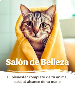 Salón de belleza